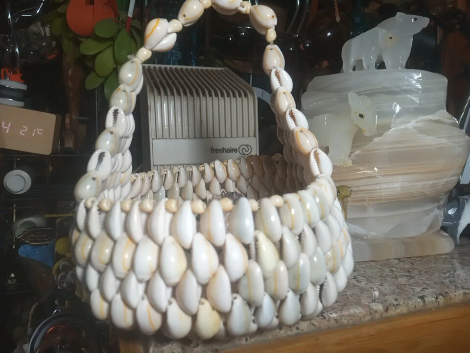 Seashell Basket
