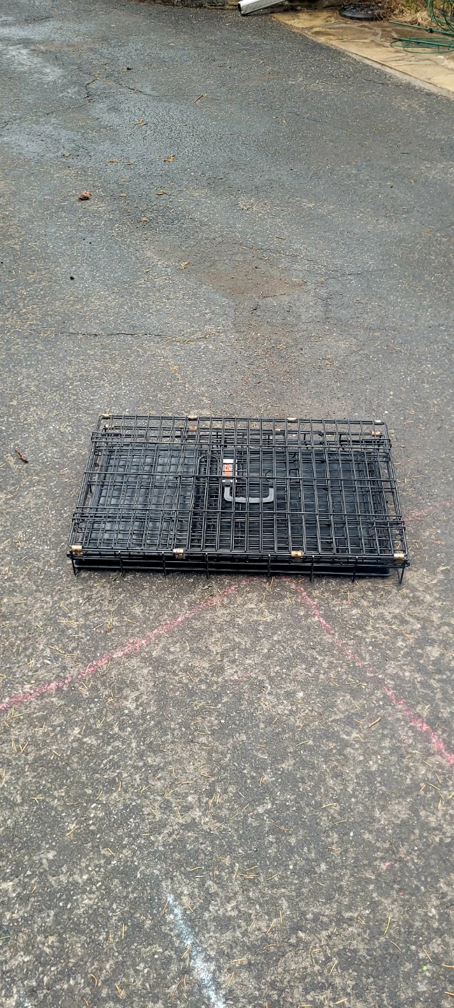 Black Metal Puppy Crate - photo 2