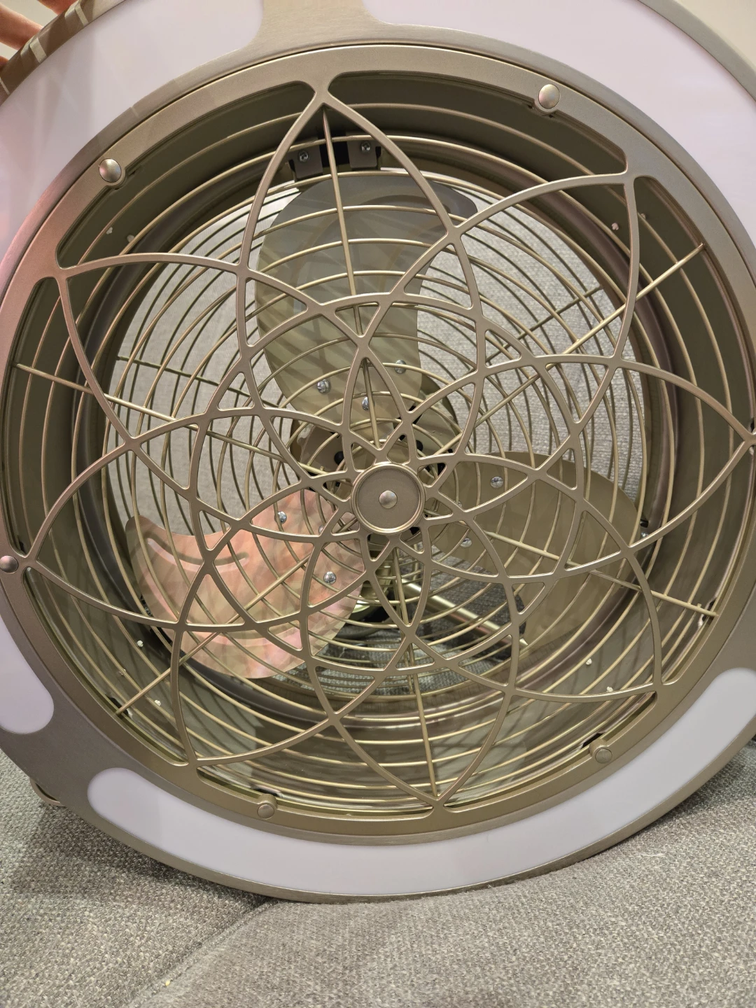 Ceiling Fan with Light Fixture - photo 3