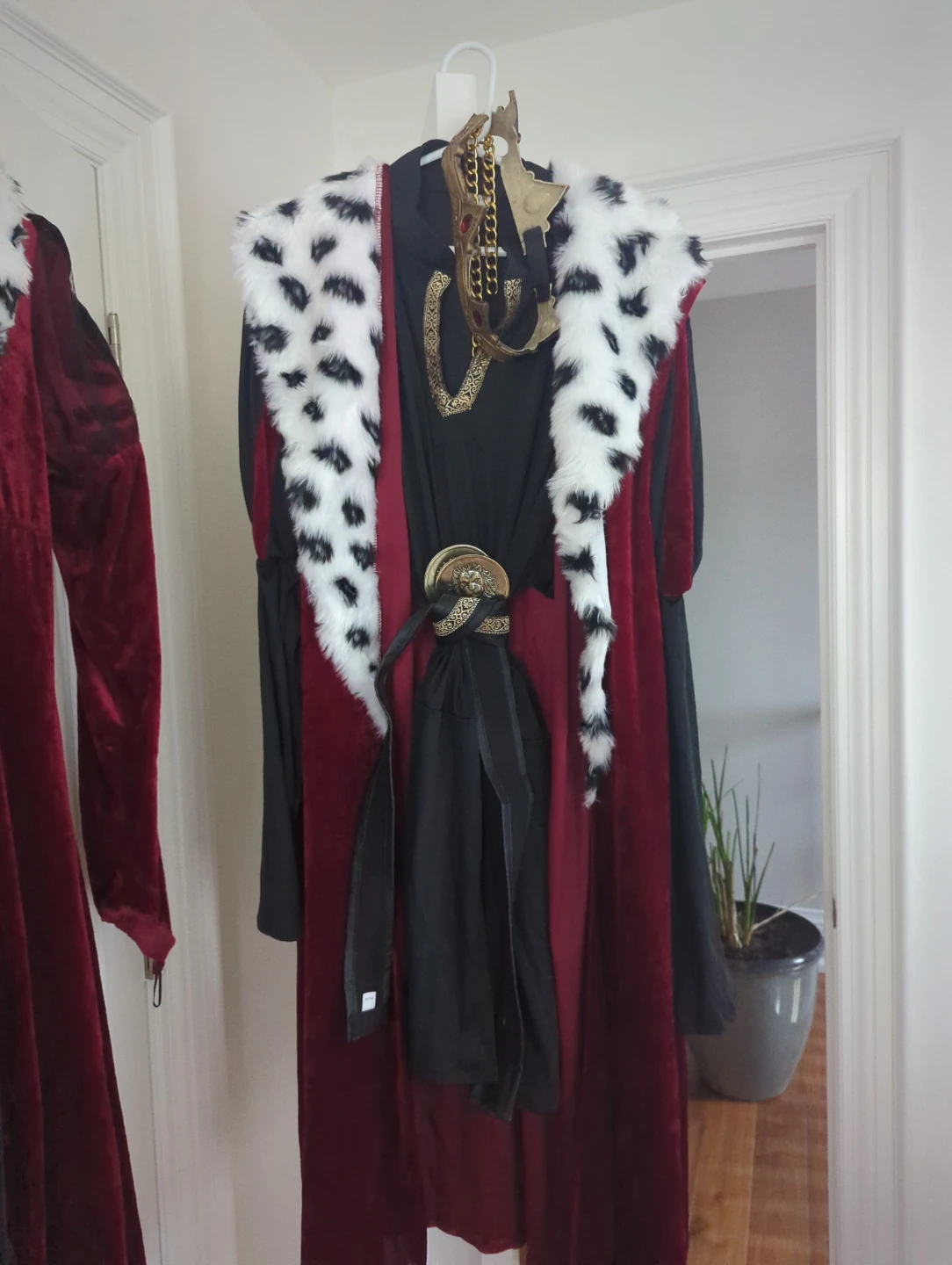 2 Halloween Costumes (unisex)