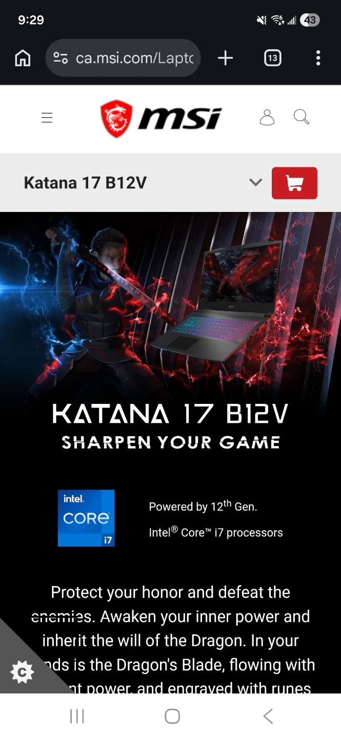 MSI Katana 17 B12V Laptop - photo 3