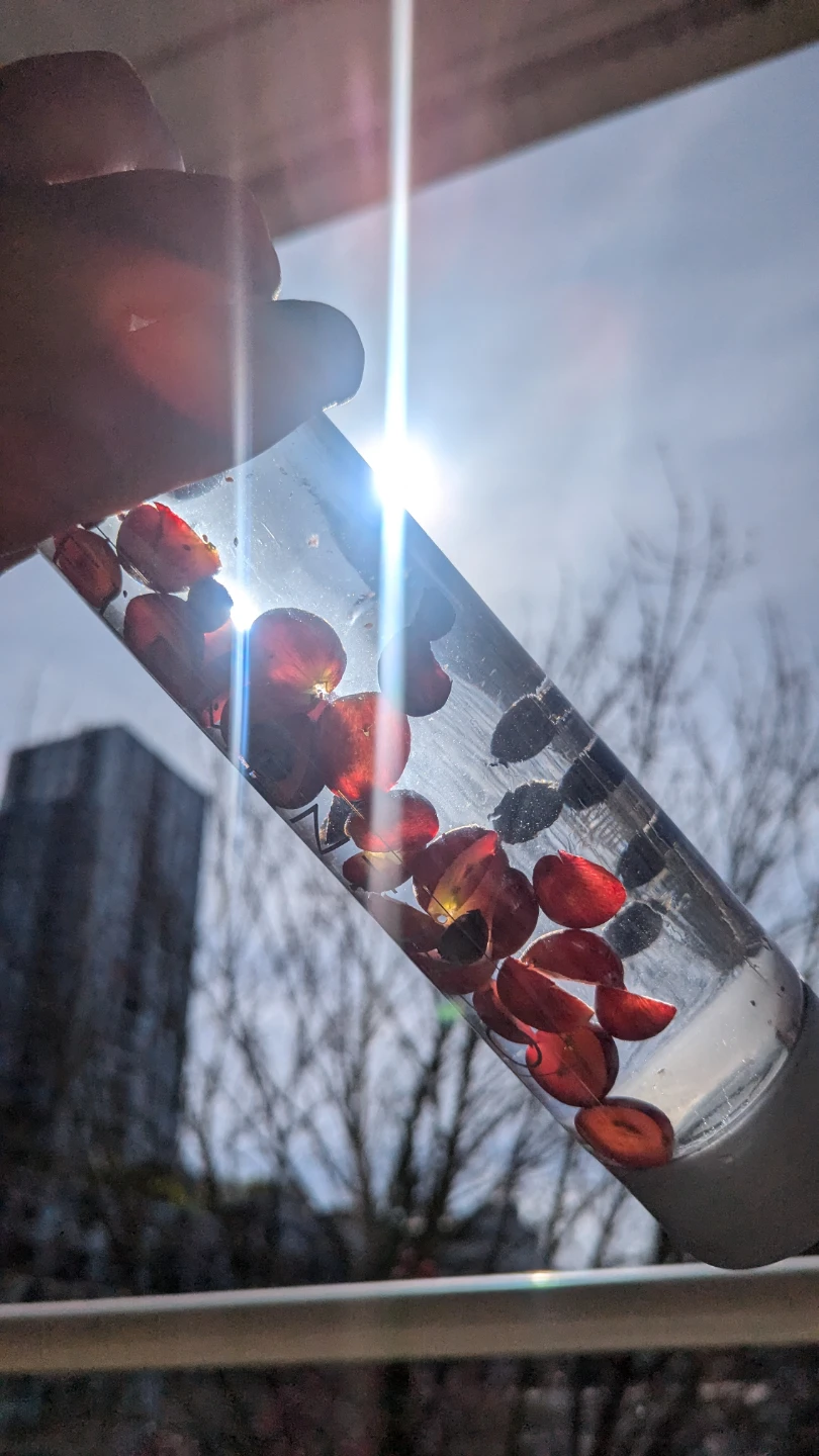 Premium 750ml Glass Bottles w/ Caps – $40/Case - photo 3