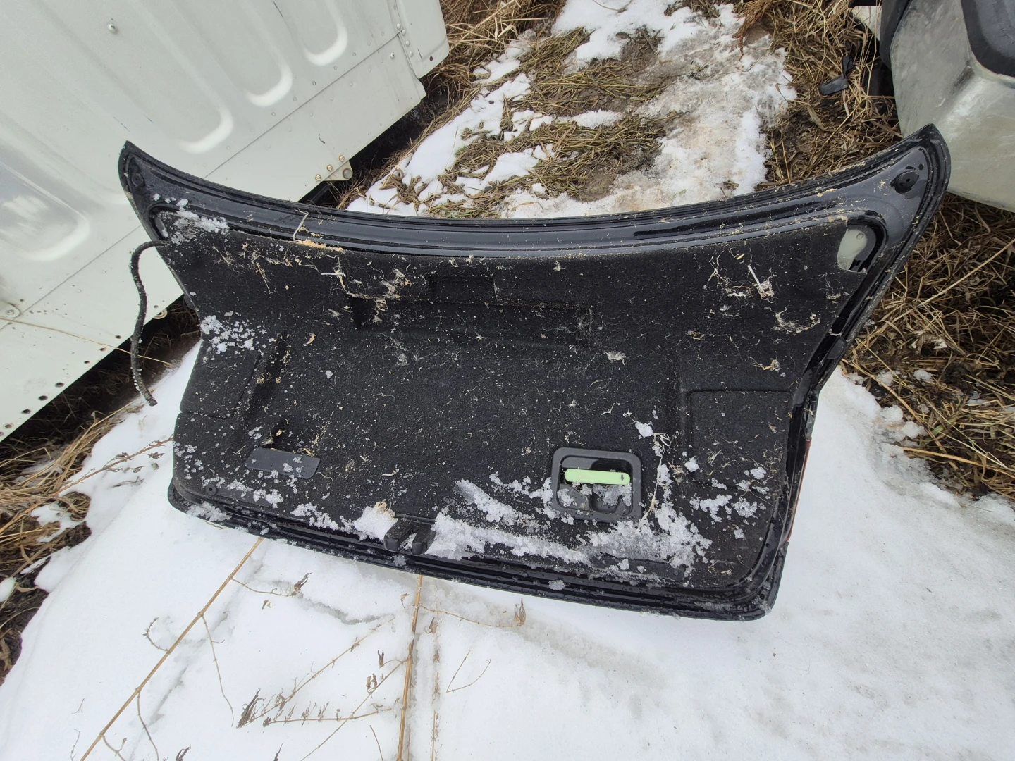 Audi S5 Trunk Lid with Taillights - photo 4