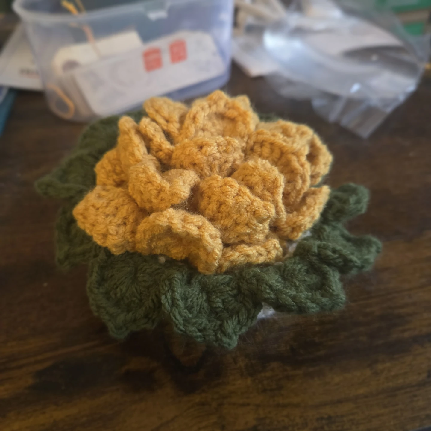 Handmade Crochet Sunflower/Succulent Coasters (Set of 2) 🌱 - photo 2