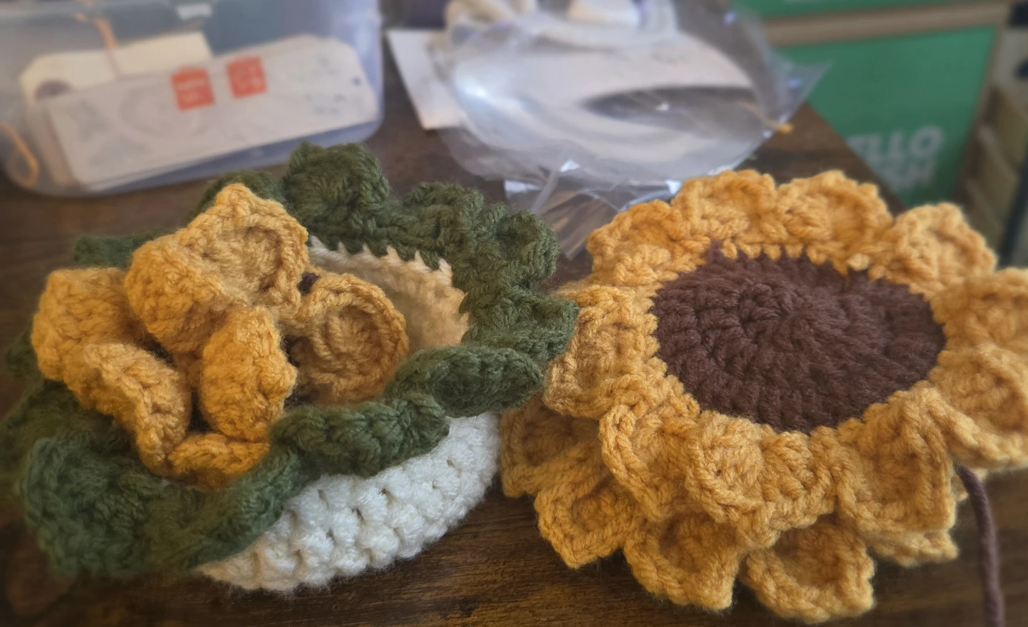 Handmade Crochet Sunflower/Succulent Coasters (Set of 2) 🌱 - photo 4