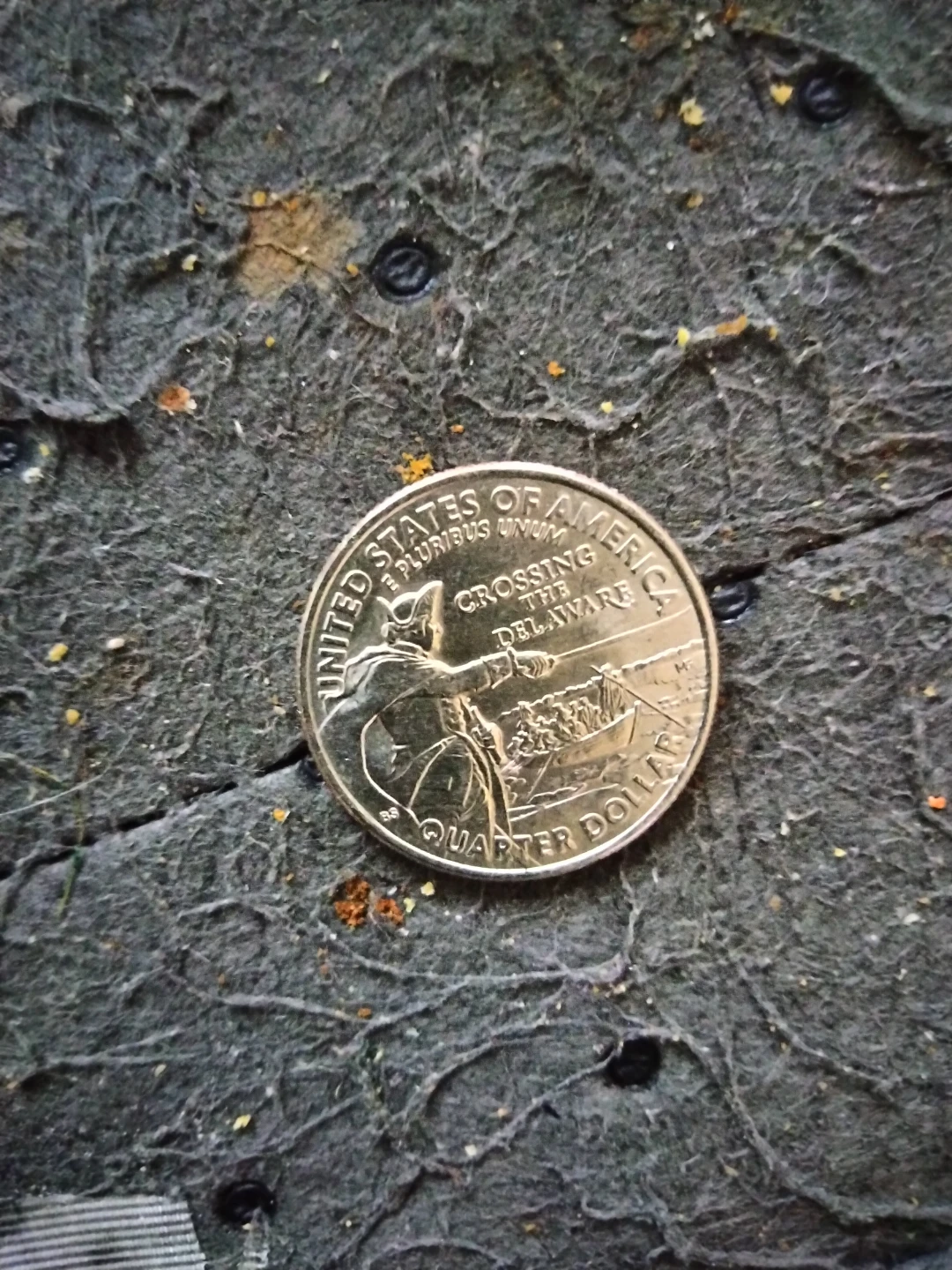 Se vende moneda con herror