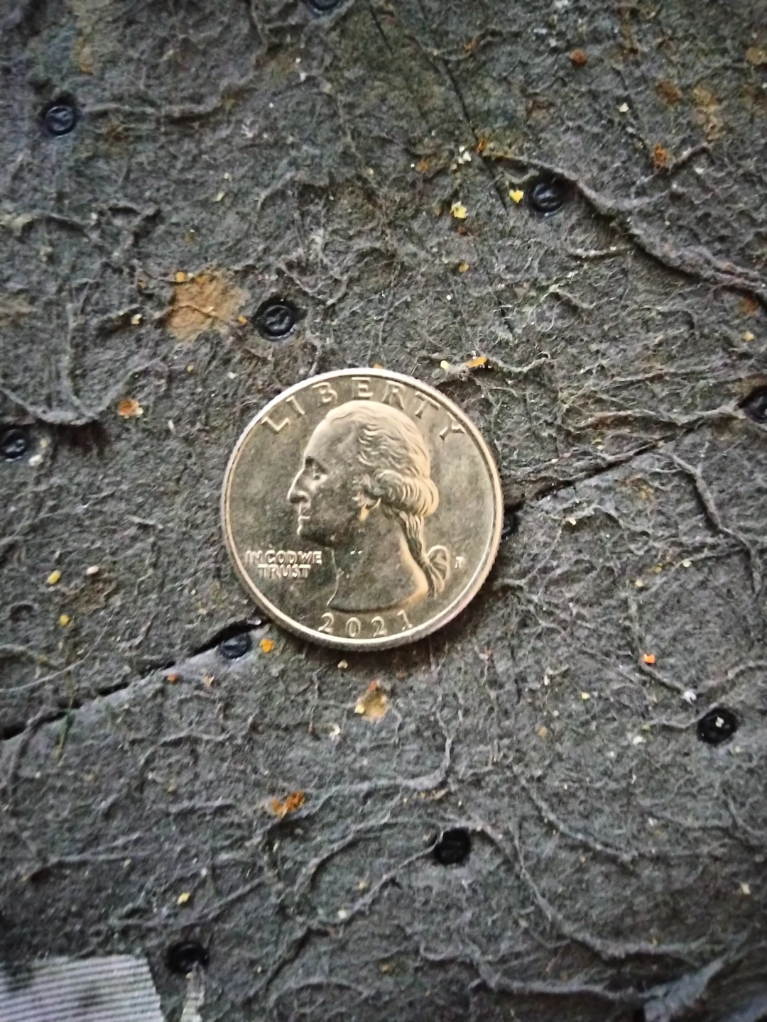 Se vende moneda con herror - photo 2