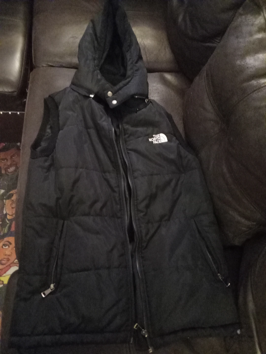 The North Face Puffer Vest with Hood