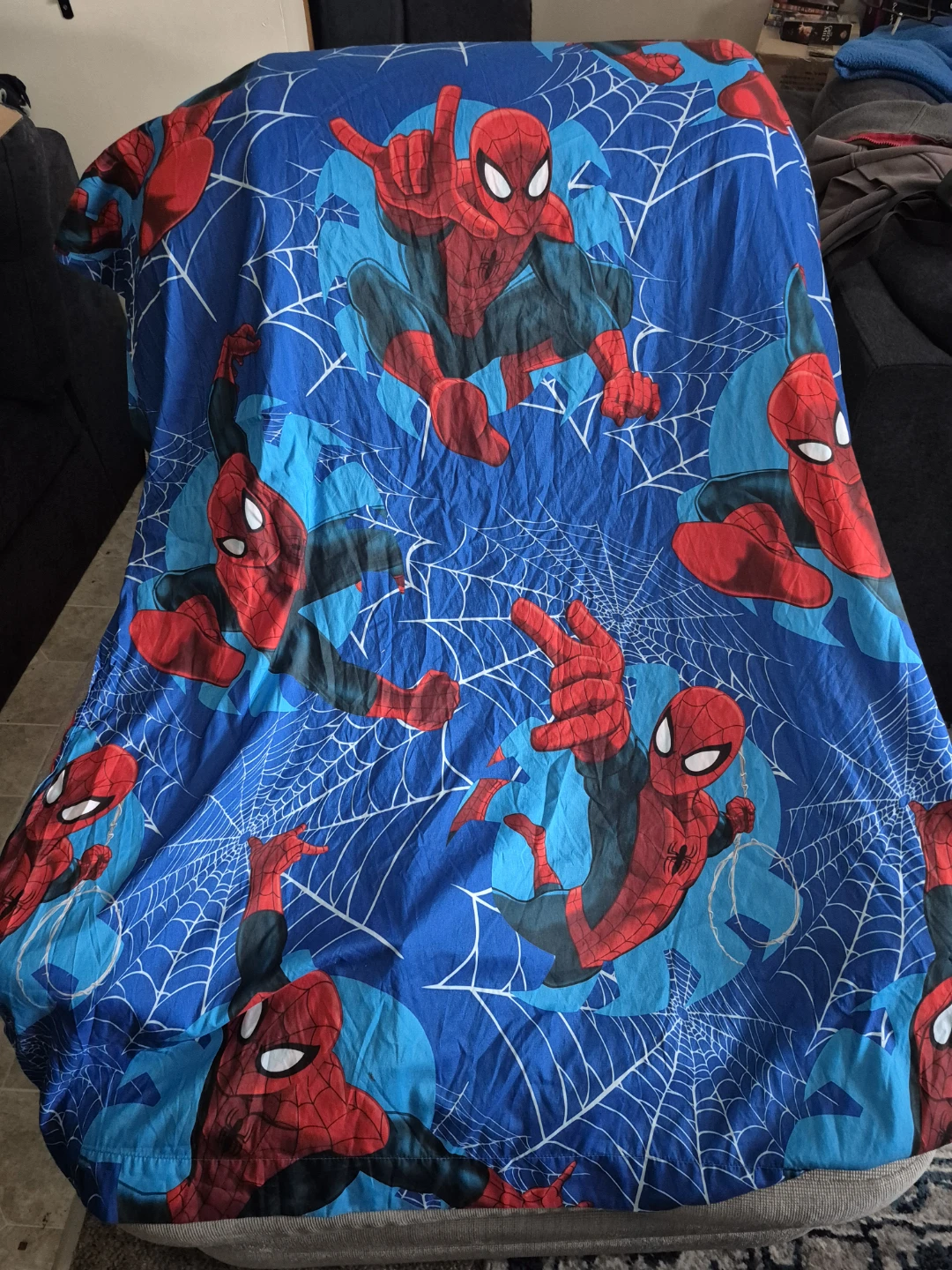 Spiderman curtains