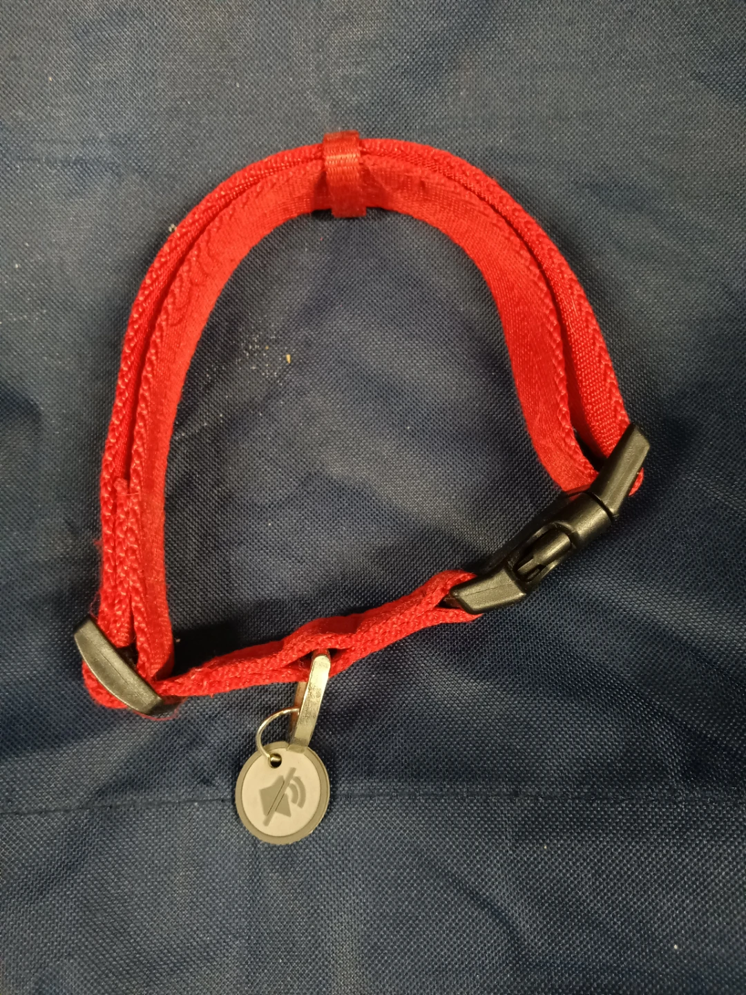 Red Pet Collar with Charm