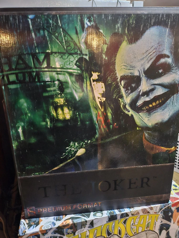 Batman Arkham Asylum Premium Format Figure - photo 5