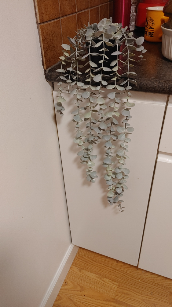 Artificial Eucalyptus Hanging Plant