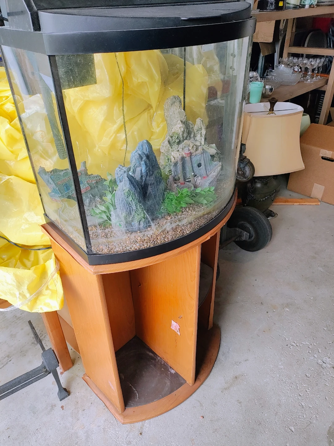 Curved Front Aquarium with Stand and Decor