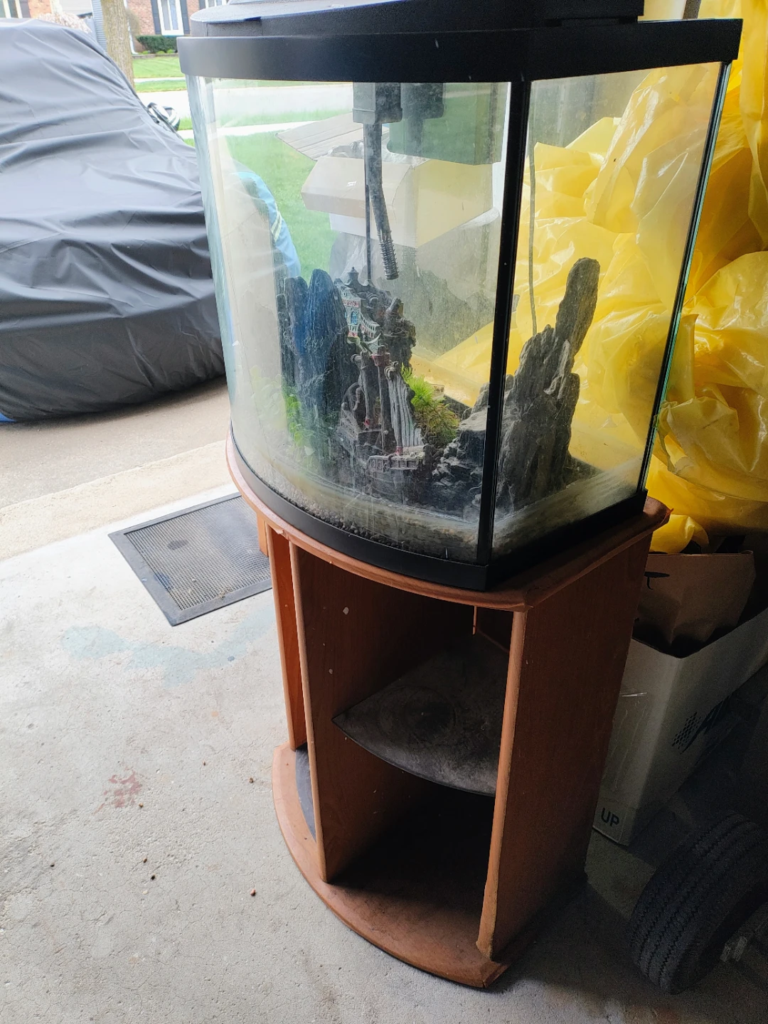 Curved Front Aquarium with Stand and Decor - photo 2
