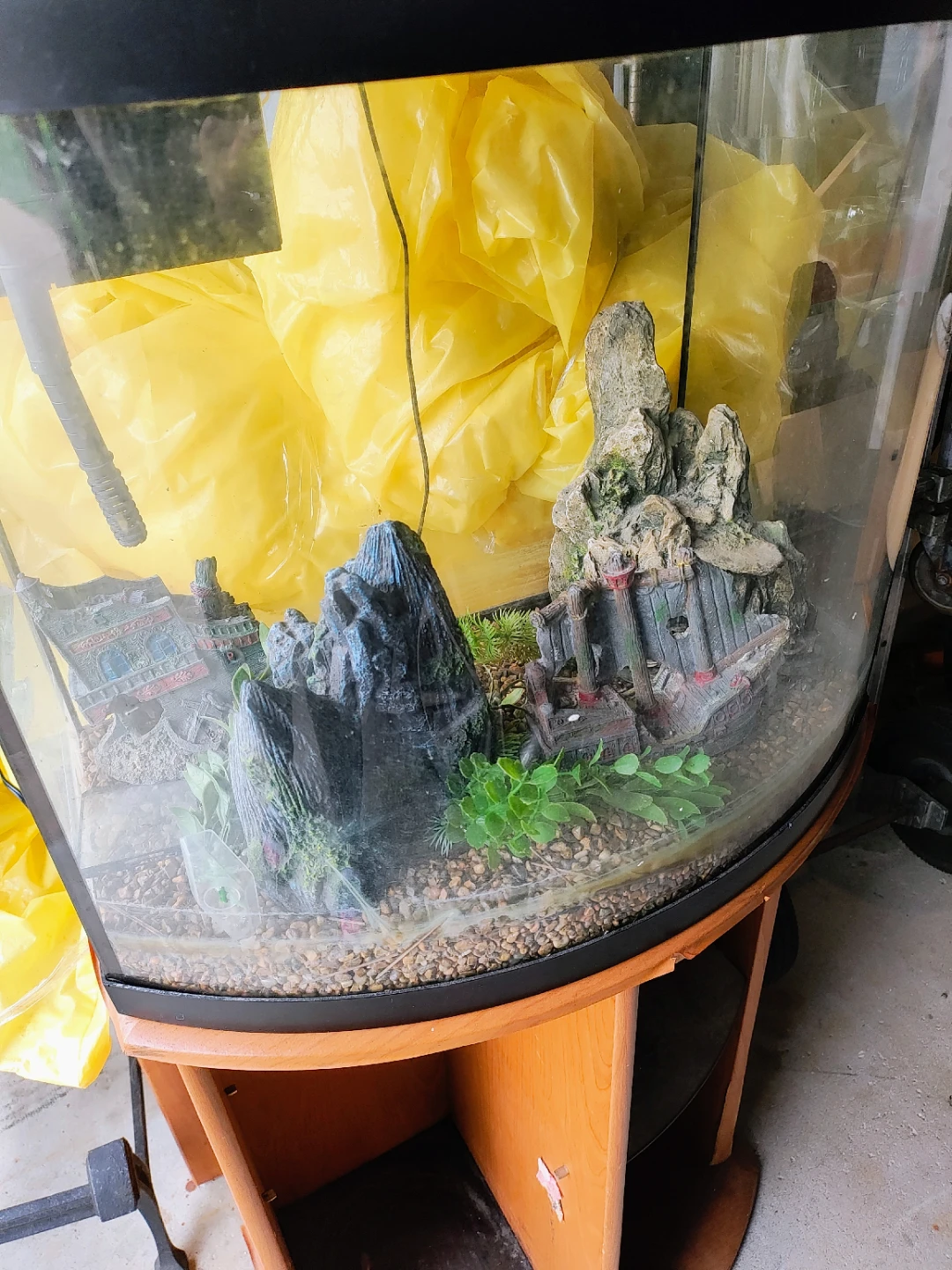 Curved Front Aquarium with Stand and Decor - photo 3