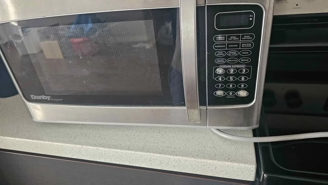 Danby Designer Microwave Oven