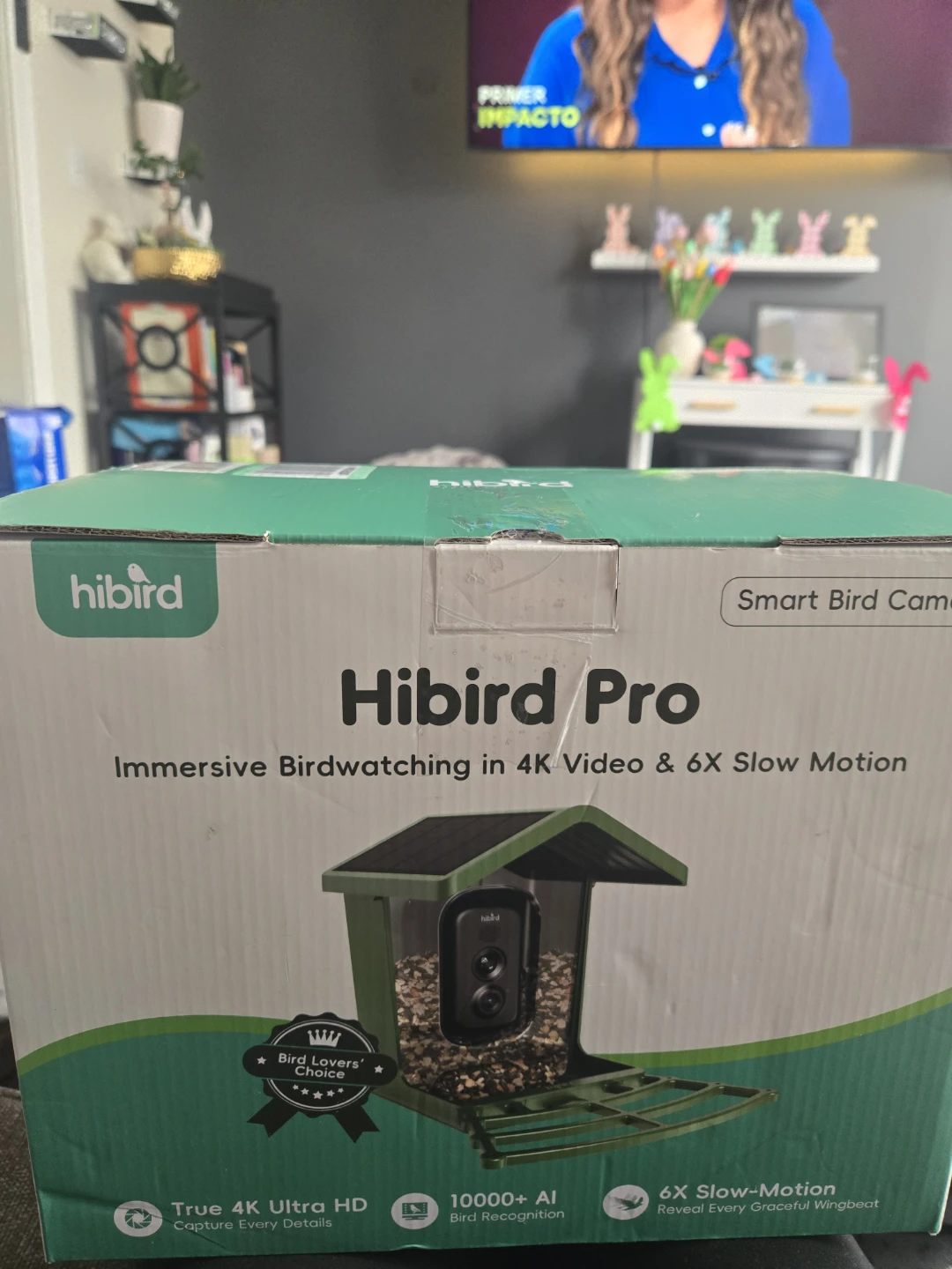 Hibird Pro Smart Bird Camera