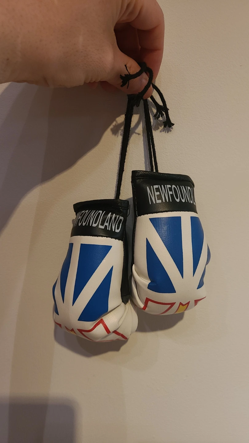 Newfoundland Mini Boxing Gloves 🌱 - photo 2