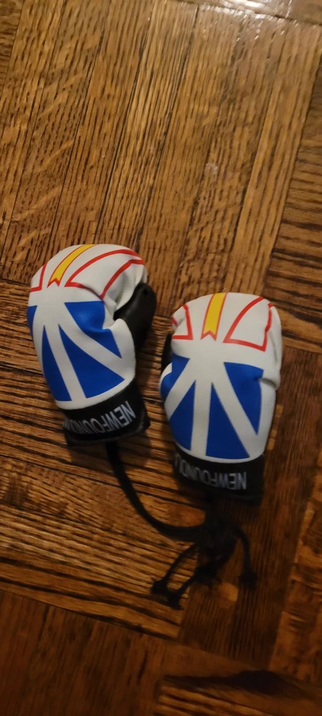 Newfoundland Mini Boxing Gloves 🌱 - photo 3