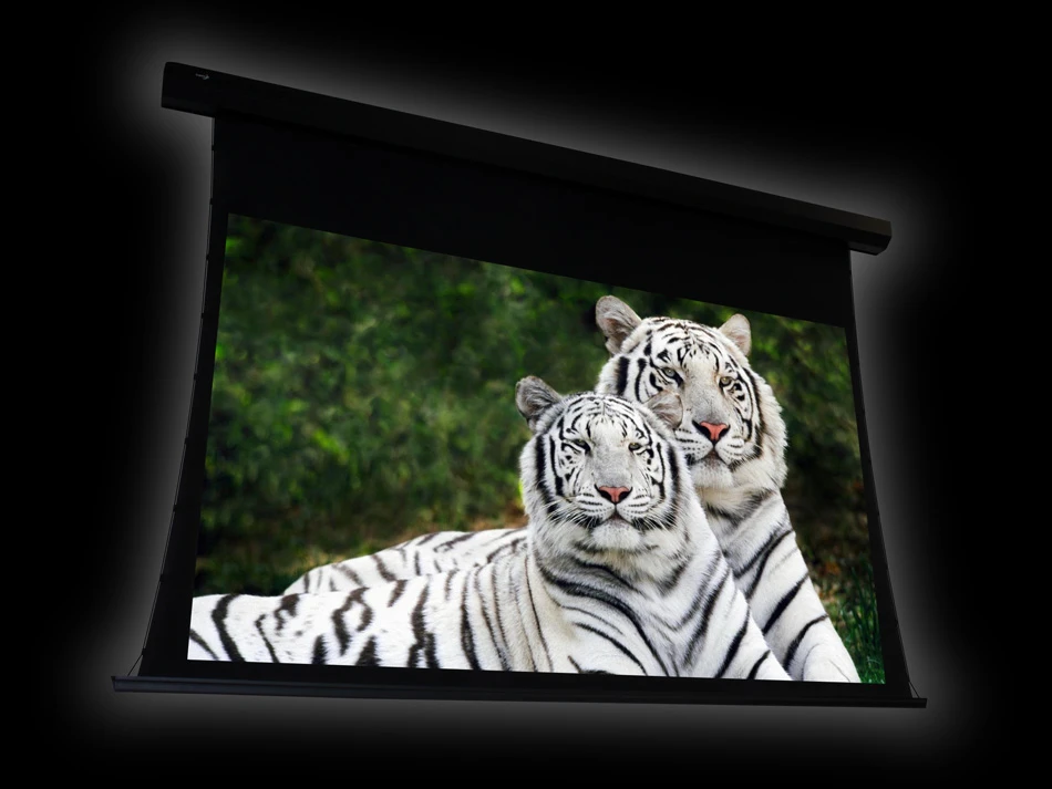 EluneVision Studio AudioWeave 4K 106" Motorized Projector Screen - photo 3