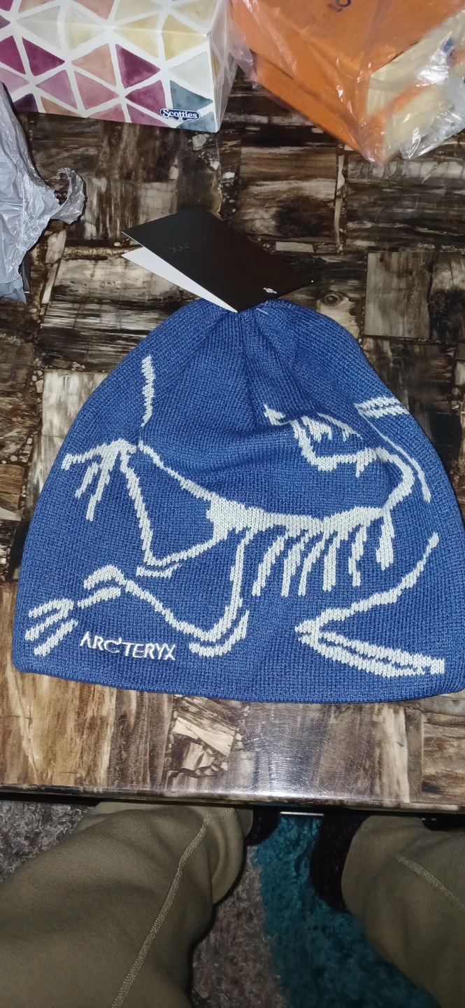 Arc'teryx Beanie