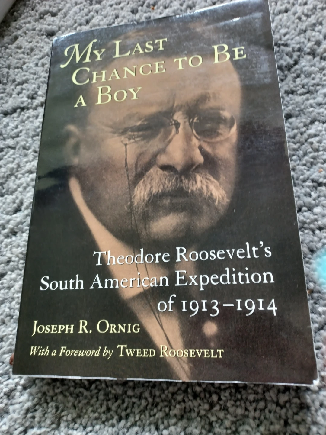My Last Chance to Be a Boy: Theodore Roosevelt - photo 2