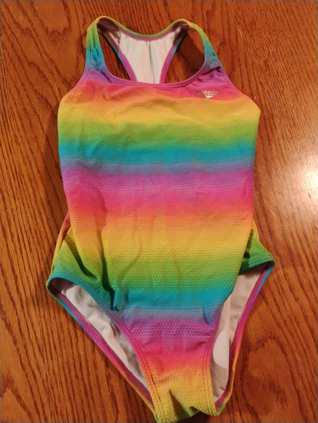 Speedo Rainbow Striped One-Piece Swimsuit