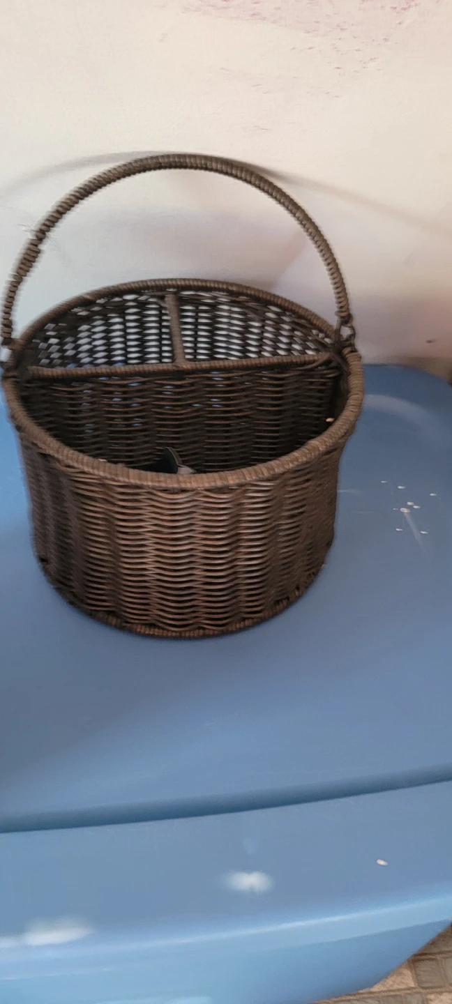 Wicker Basket Organizer with Handle