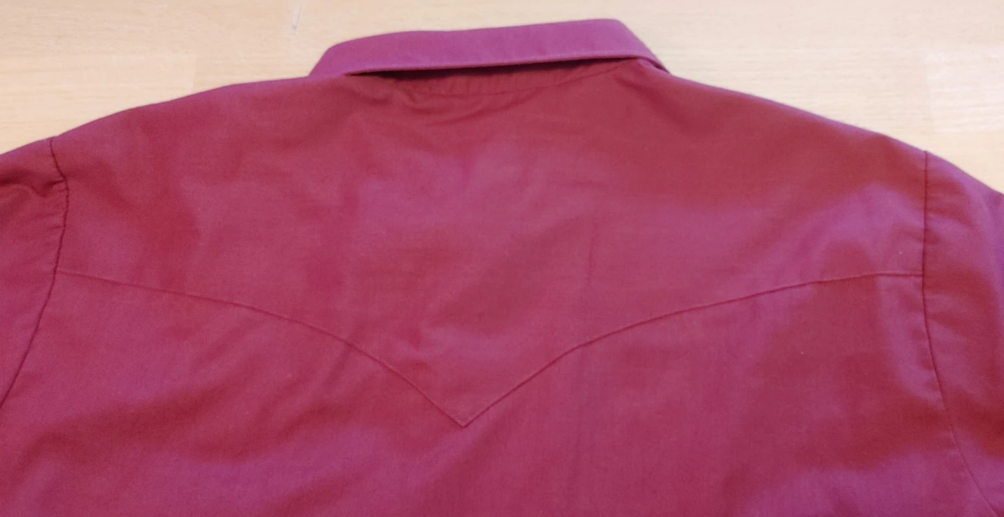 Western Style Embroidered Pearl Snap Shirt - photo 5