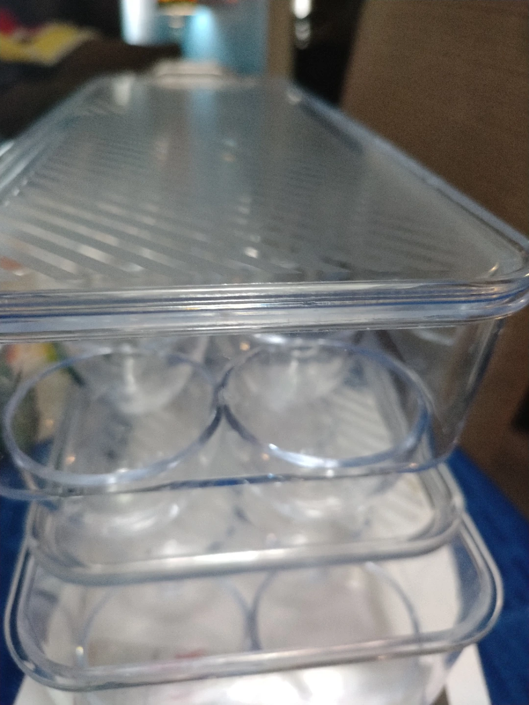Clear Plastic Egg Holder with Lid