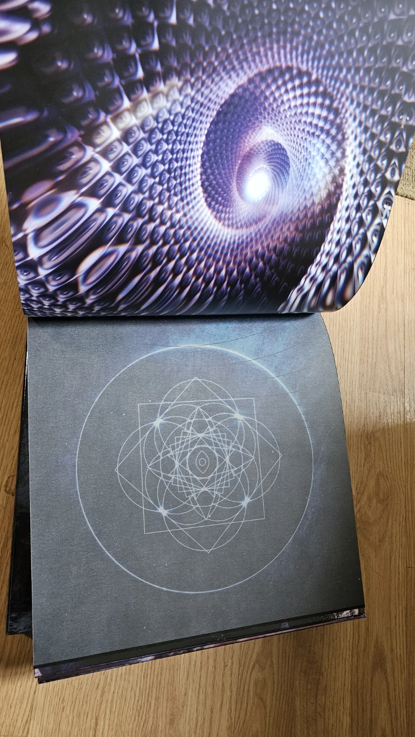 Tool fear inoculum Vinyl Record & Art Book - photo 3