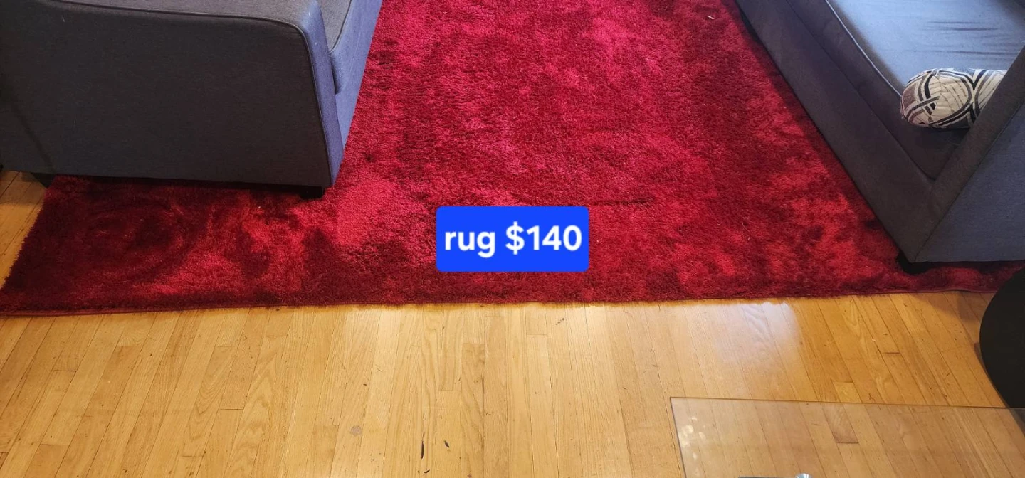Red Shaggy Rug