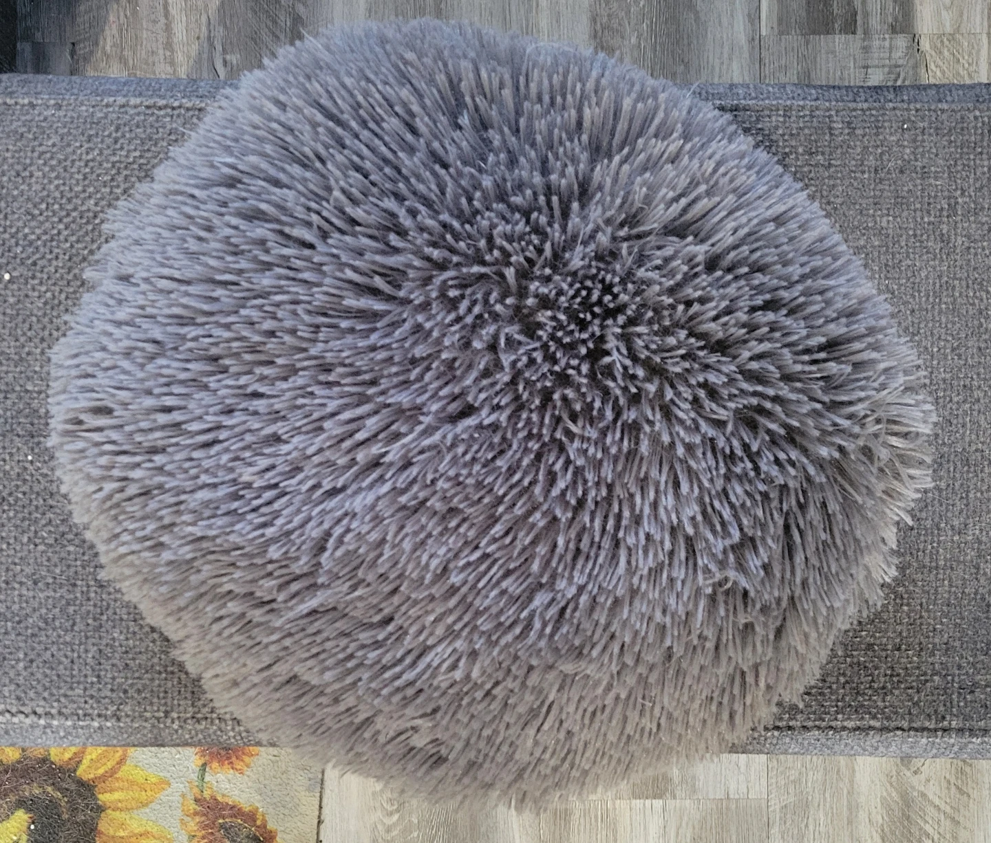 Accent Pillow