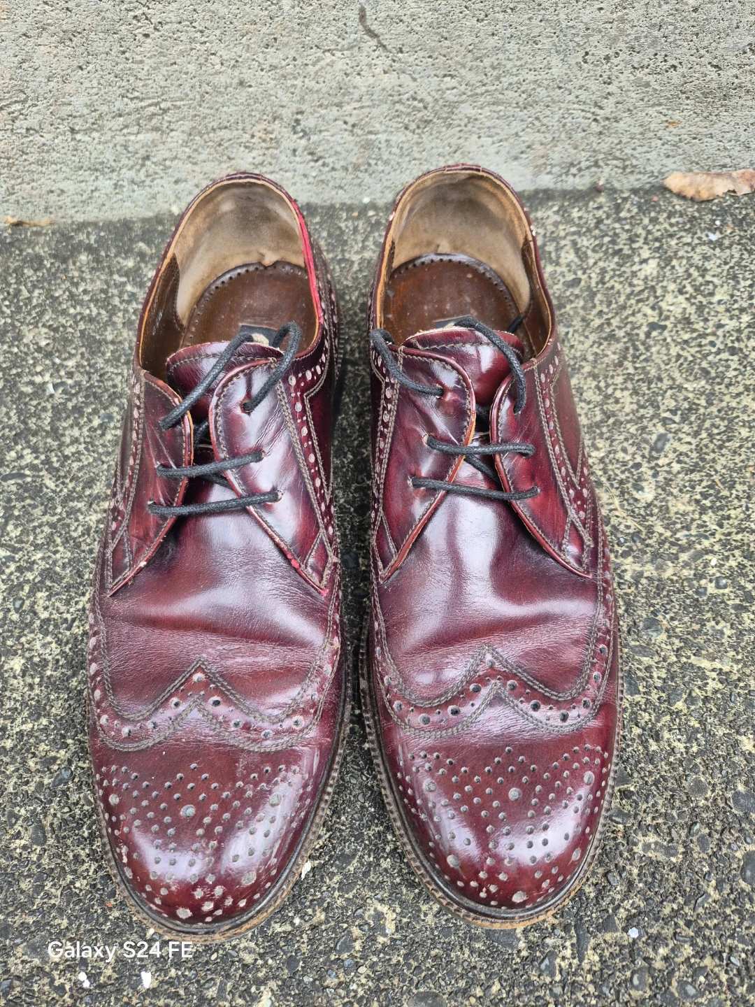 Apollo Classic Men's Wingtip Oxford Shoes - Burgundy Leather - photo 3