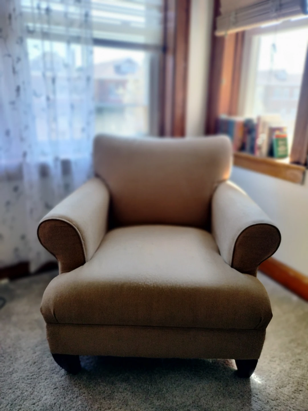 Comfortable Accent Chairs