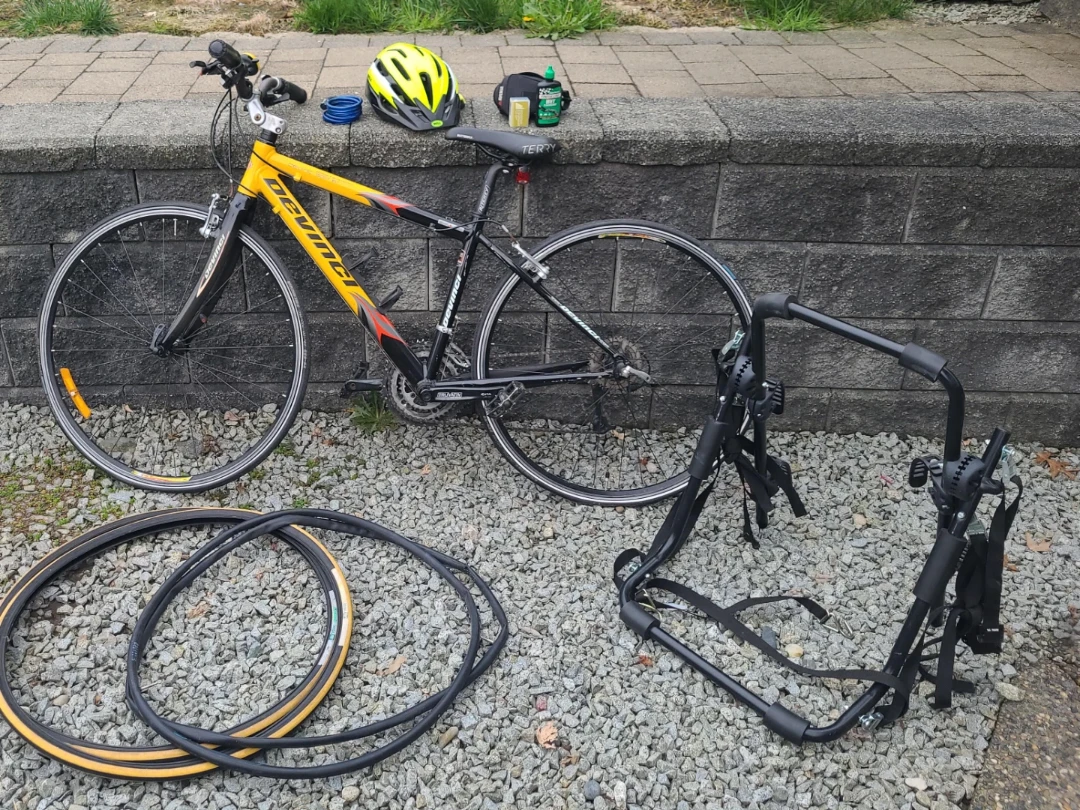 Devinci Amsterdam SGX 61 Bicycle