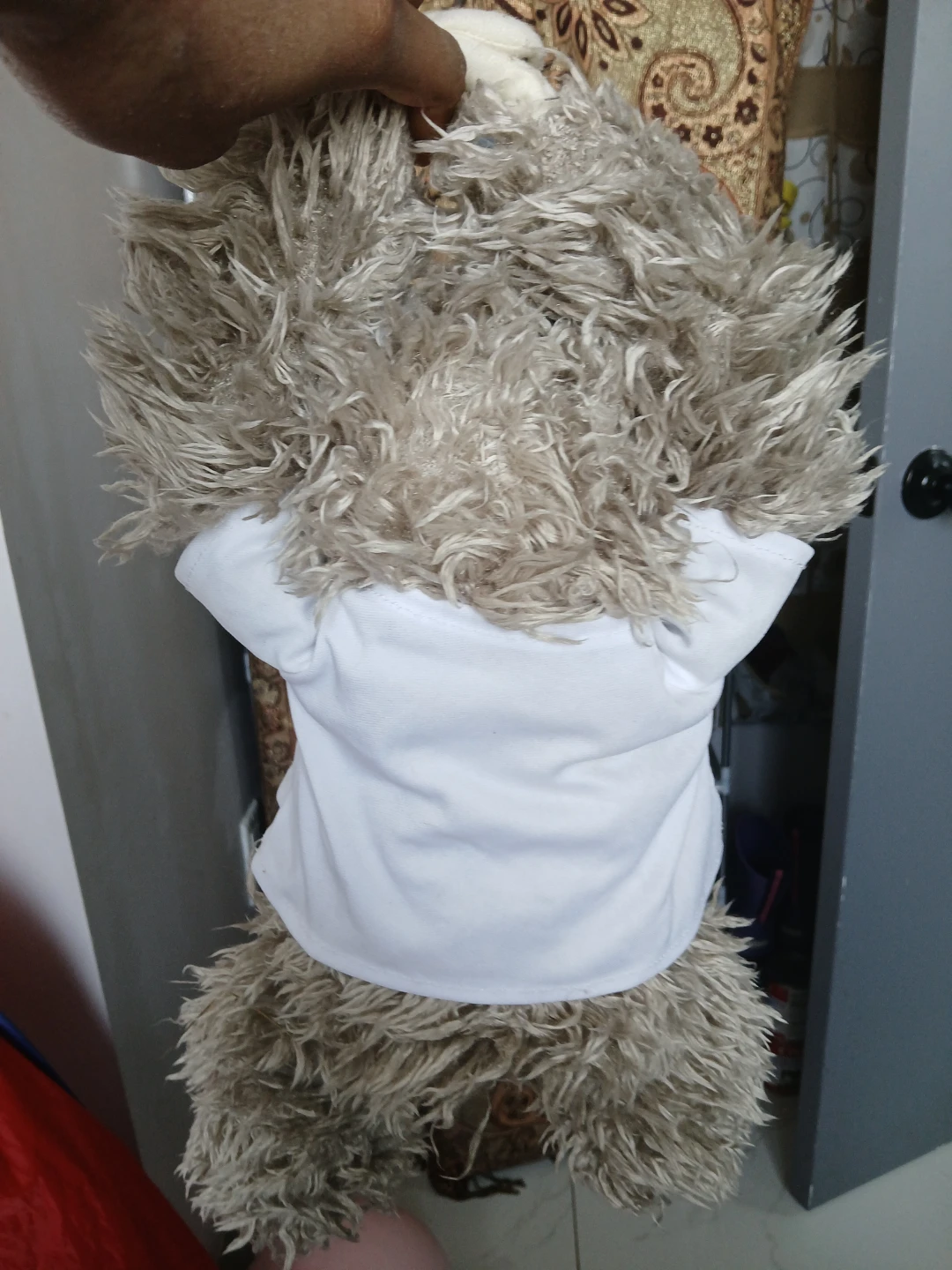 Plush Sloth Toy with "I'll Always Hang With You" Shirt - photo 2