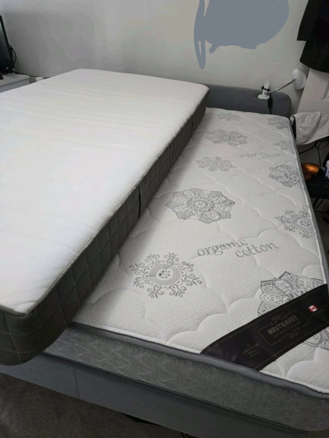 Nest & Rest Organic Cotton Mattress full size