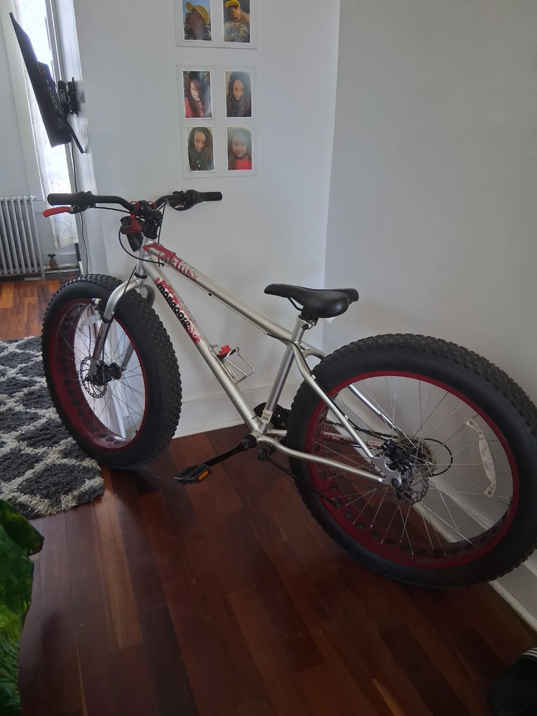 Mongoose Fat Tire Bike
