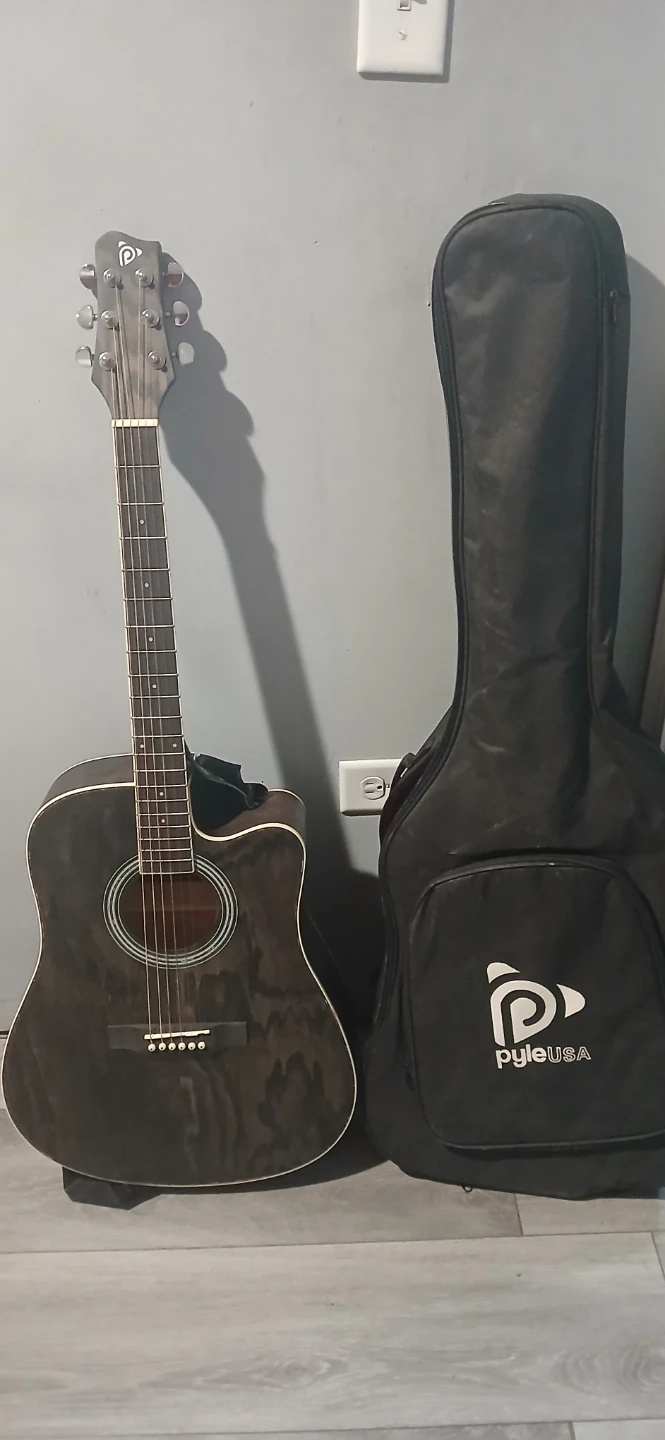 Pyle-USA Acoustic Guitar with Gig Bag - photo 3