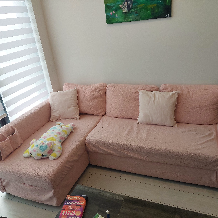 IKEA FRIHETEN Sofa-Bed with machine washable cover