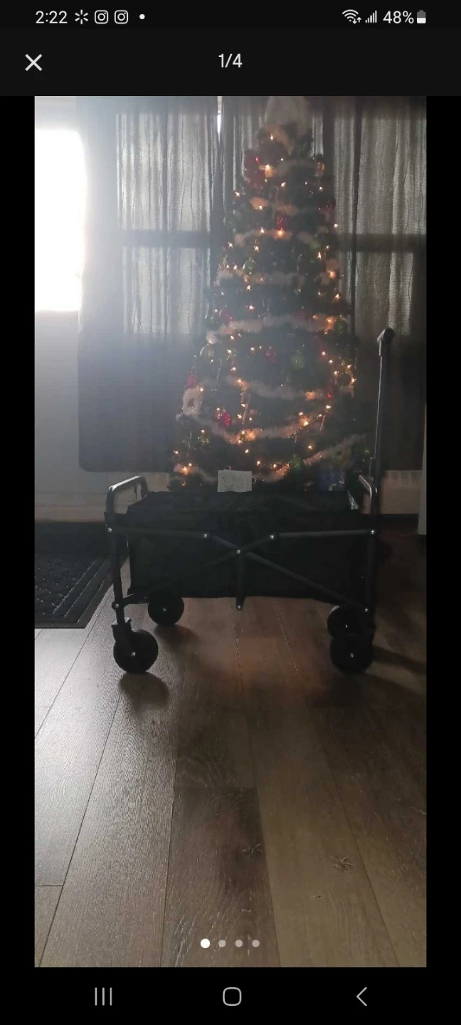 Black Folding Wagon with Handle 🌱