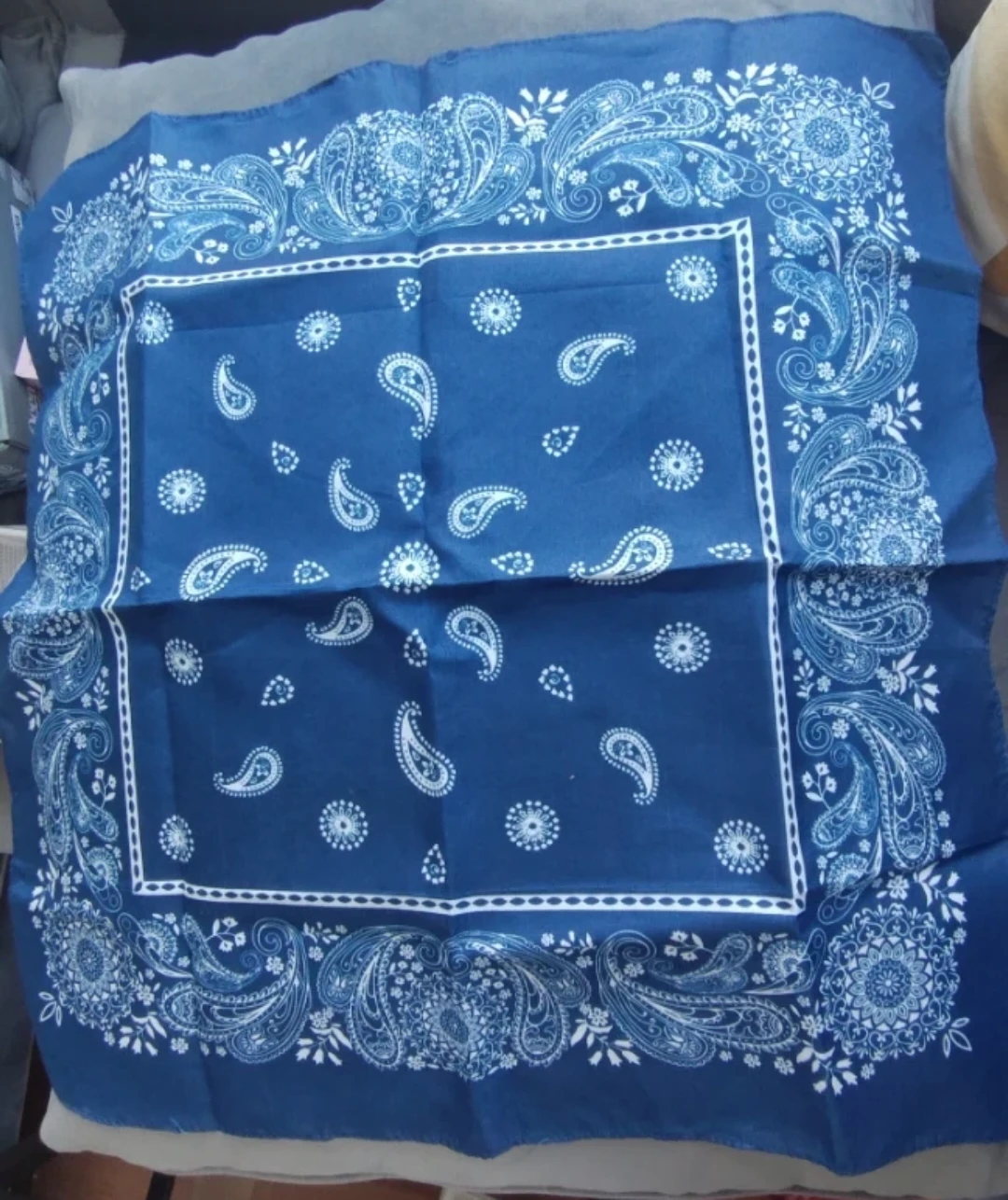 Blue Paisley Bandana