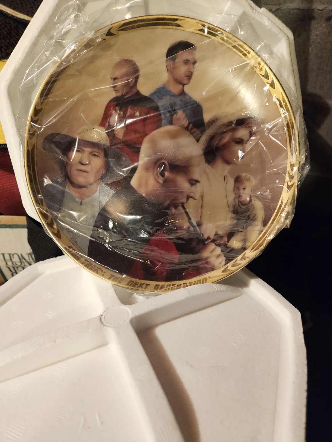Star Trek The Next Generation Collector Plates (Set of 5) - photo 4