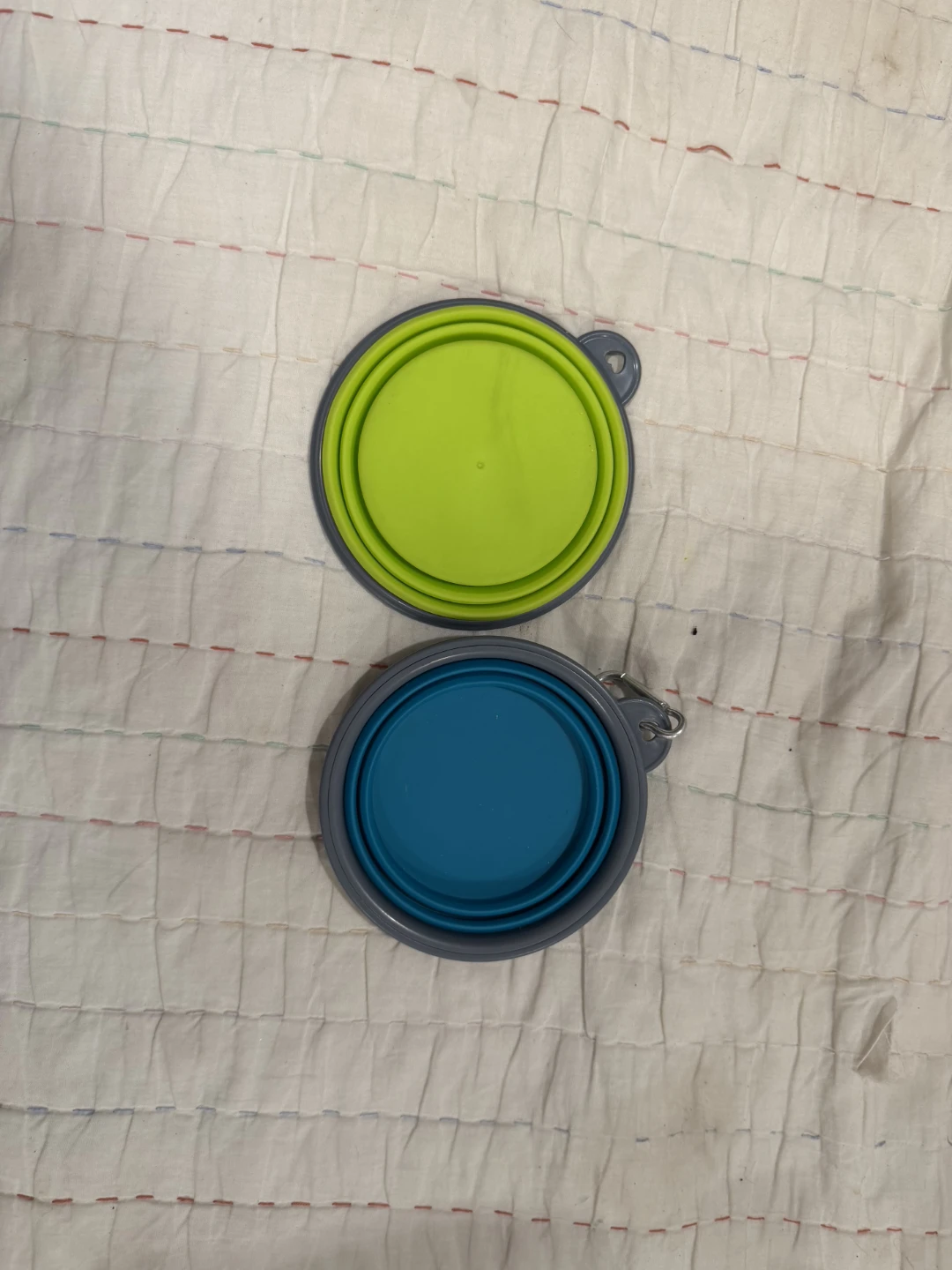 2 Collapsible Pet Bowls (Green & Blue)
