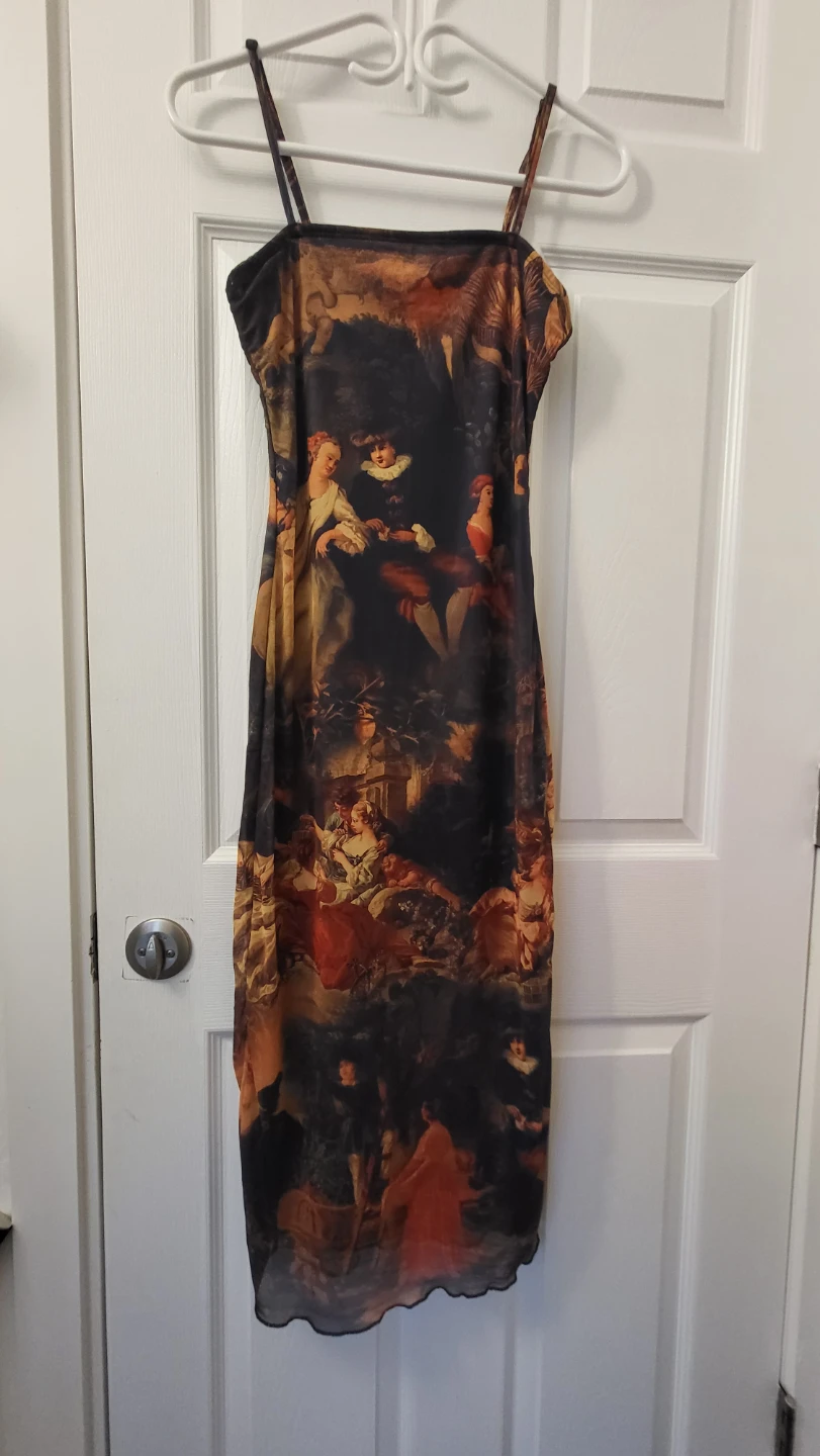 Mesh Print Dress
