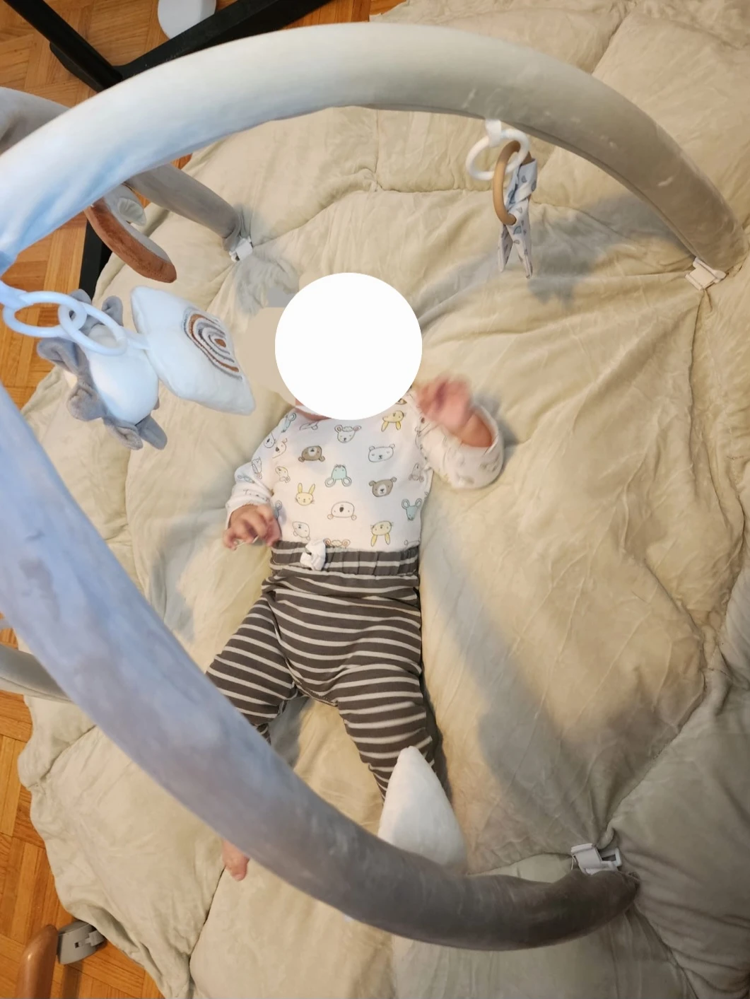 Baby Play Gym and Mat
