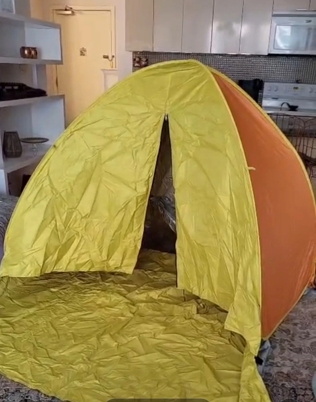 2-3 Person Pop-Up Tent