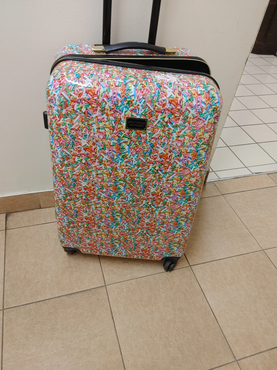 Betsy Johnson Sprinkles Suitcase