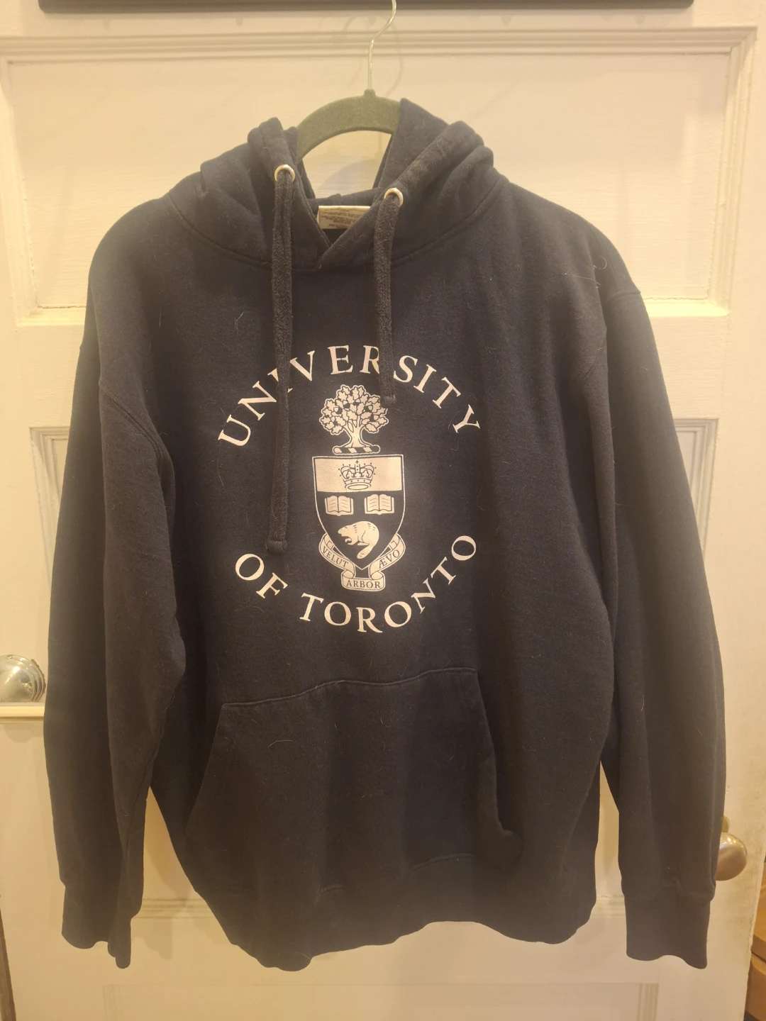 University of Toronto Hoodie